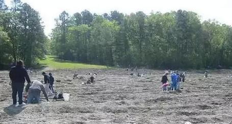 沙滩上偶然发现一个奇怪的石头,在野外意外发现巨大钻石