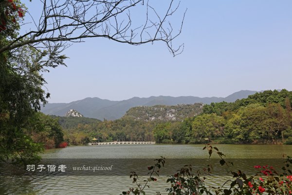 居于涟岸隐于湖,到肇庆体验离尘不离城的精致慢生活