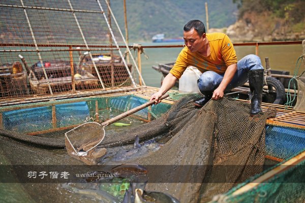 居于涟岸隐于湖，到肇庆体验离尘不离城的精致慢生活