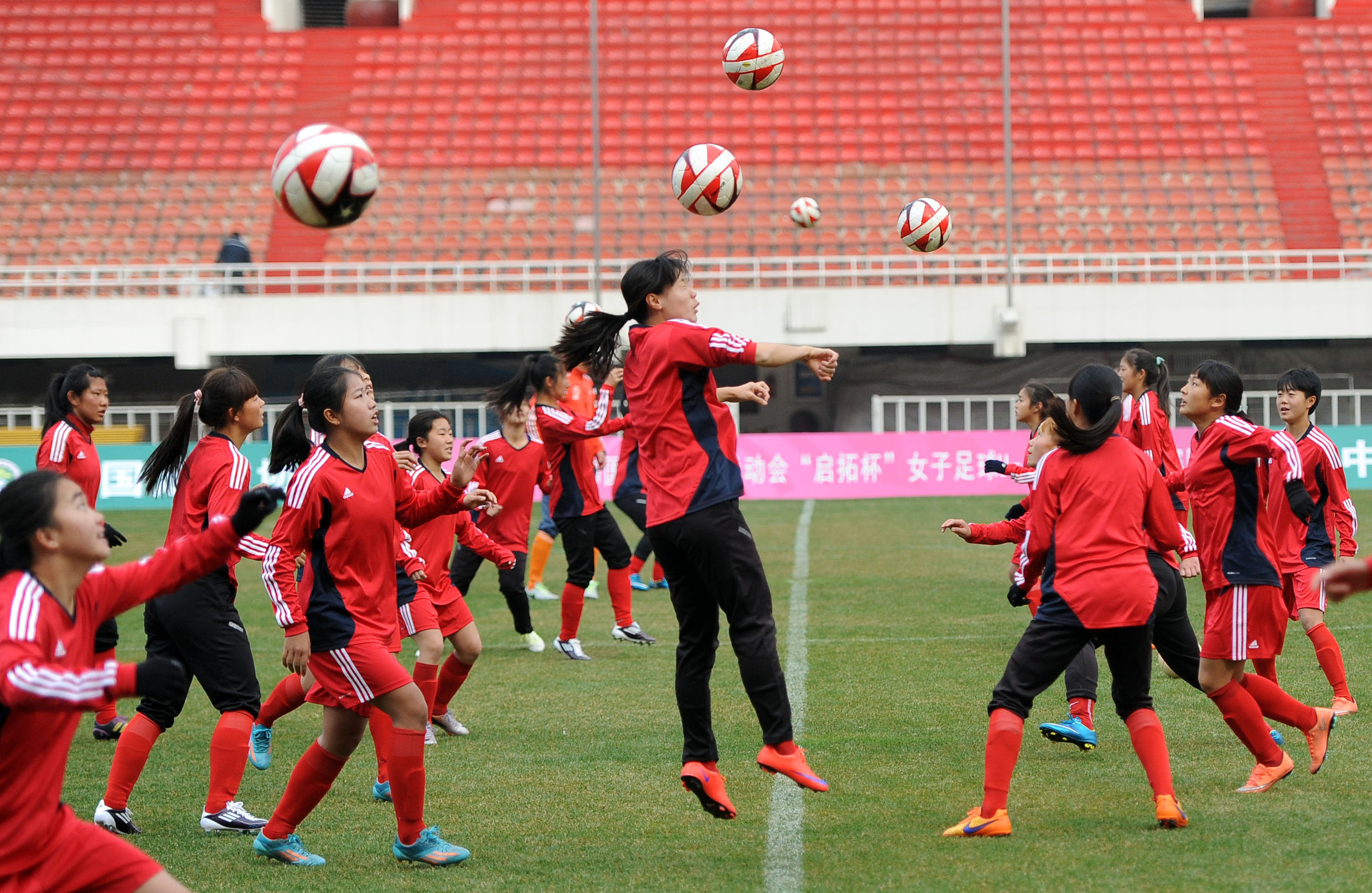 3月12日到省体看陕西“玫瑰”炫丽绽放