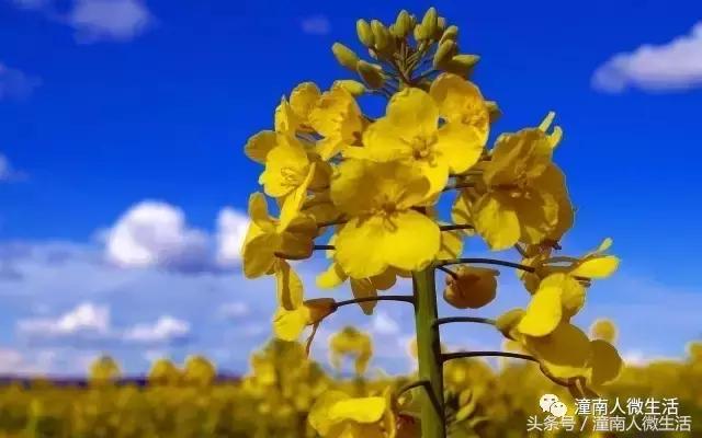 潼南附近的城市好玩的地方,潼南是不是个好地方