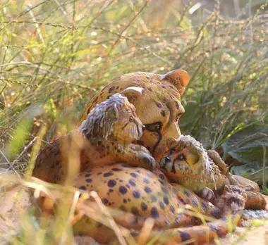 飘洋过海，在蛋糕、在蛋挞上环游世界，在舌尖上领略世界之美！