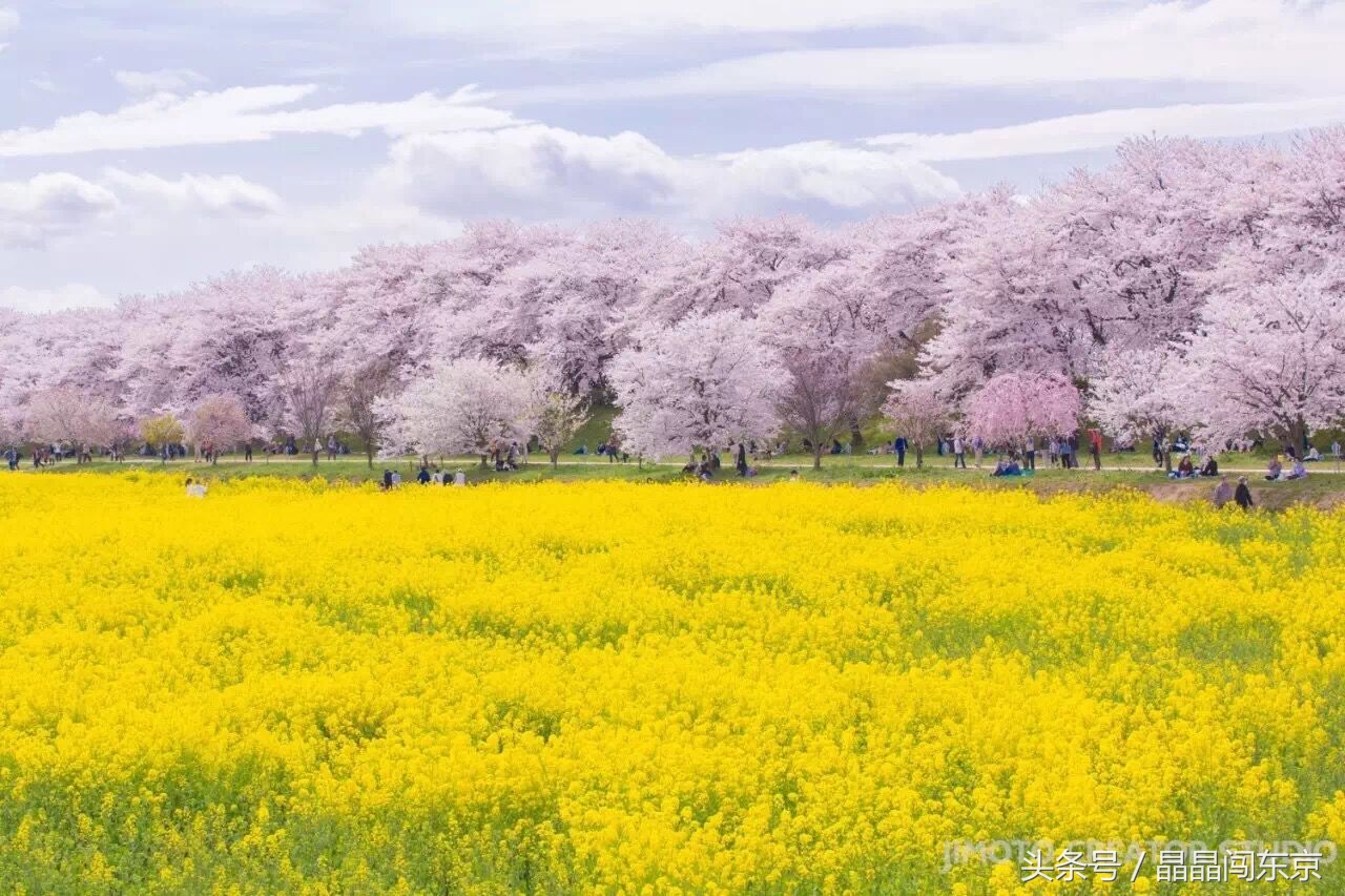 把自己当回事就挺好,希望以后的日子每天都是女王节