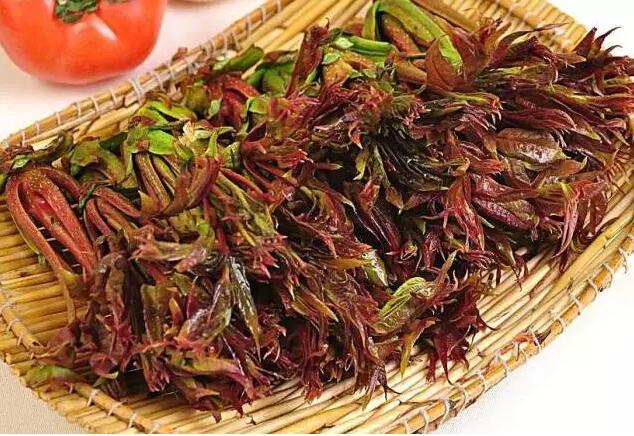 千岛湖乡间野趣如画,千岛湖踏青美景