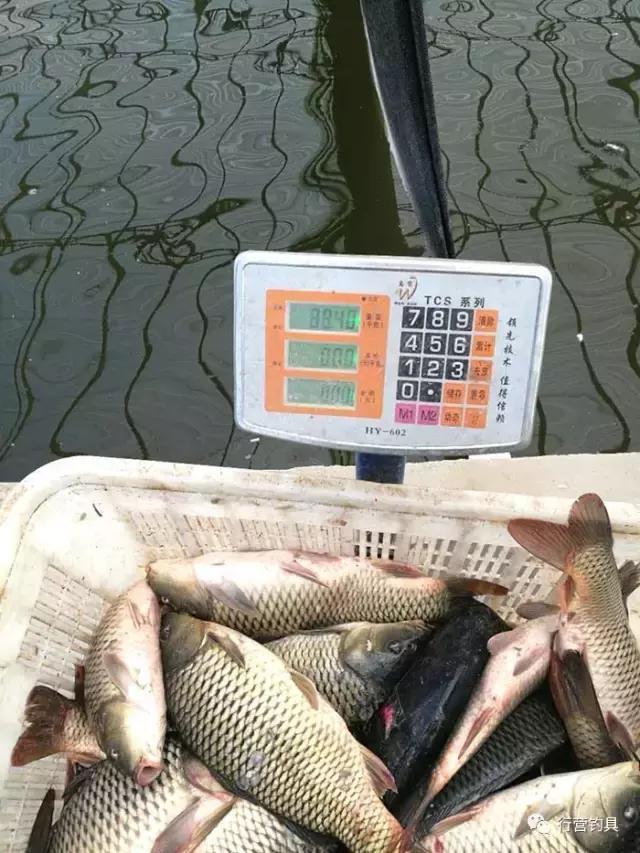 自己对渔获还算满意吧？