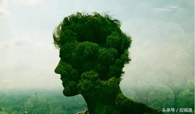 在生活中总有这样一种人普普通通,湖北省应城市真实生活