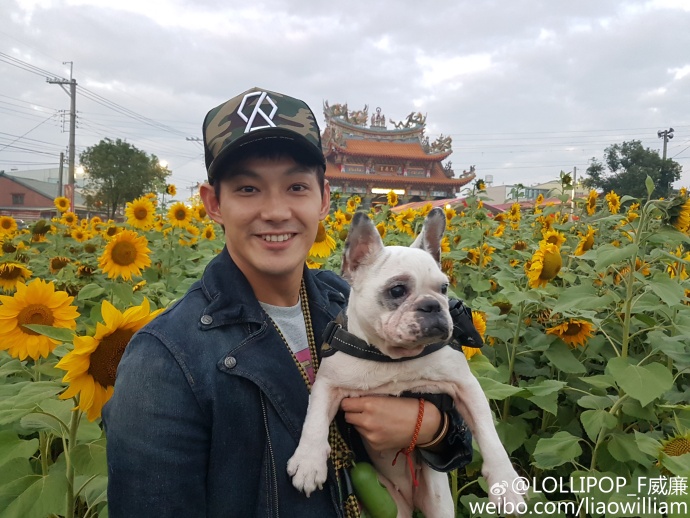 曾经很火的棒棒堂为何会解散呀,曾经的棒棒堂成员都去哪了