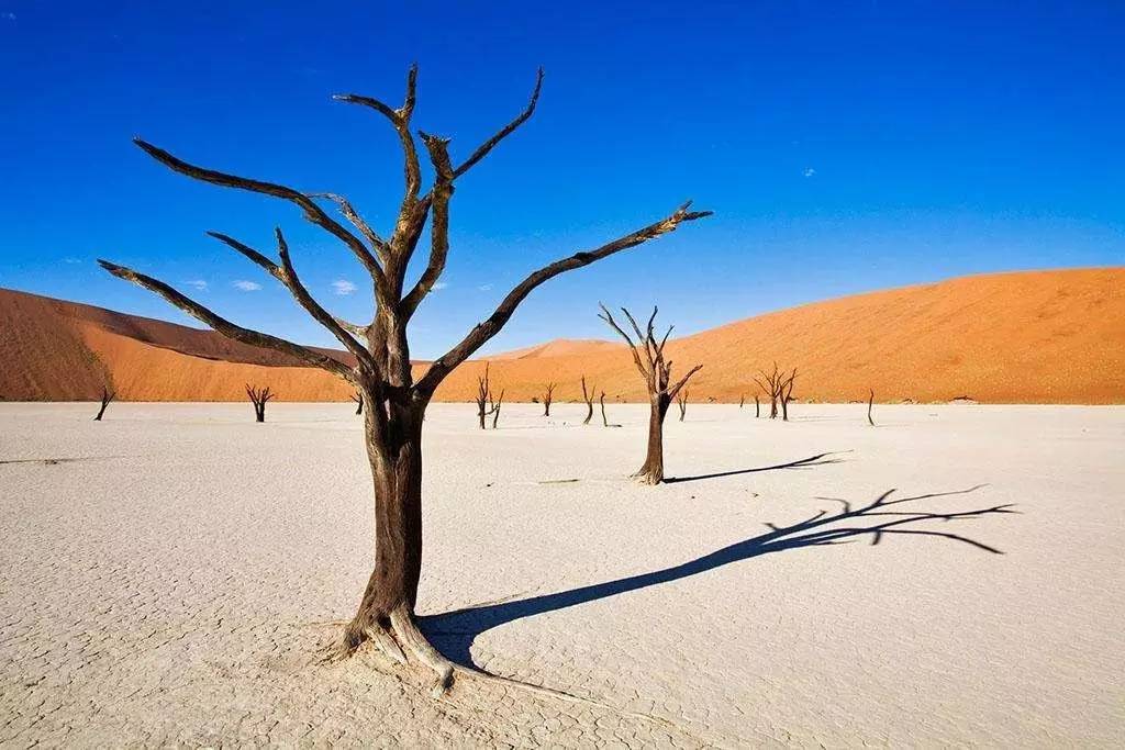 怎么拍出来照片和油画一样,拍照拍出油画质感