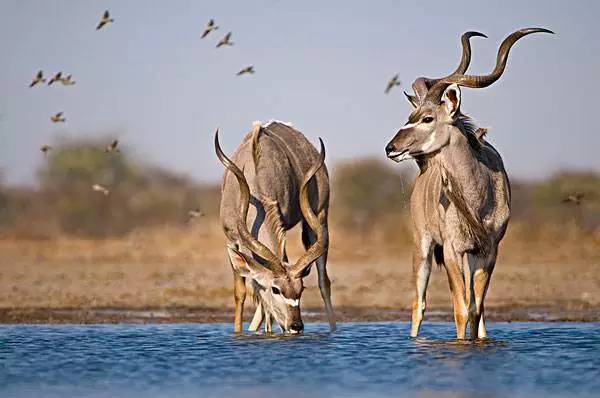 怎么拍出来照片和油画一样,拍照拍出油画质感