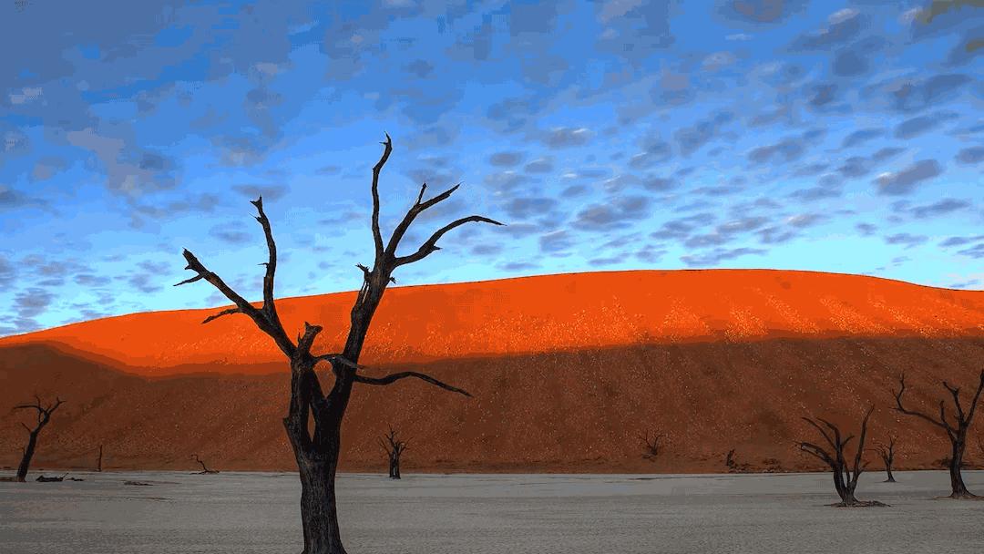 怎么拍出来照片和油画一样,拍照拍出油画质感