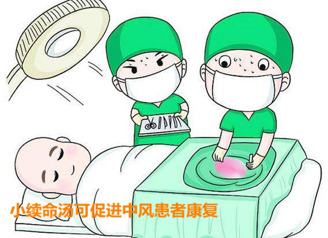 麻黄能够治疗脑中风吗？李可与胡希恕的世纪之争