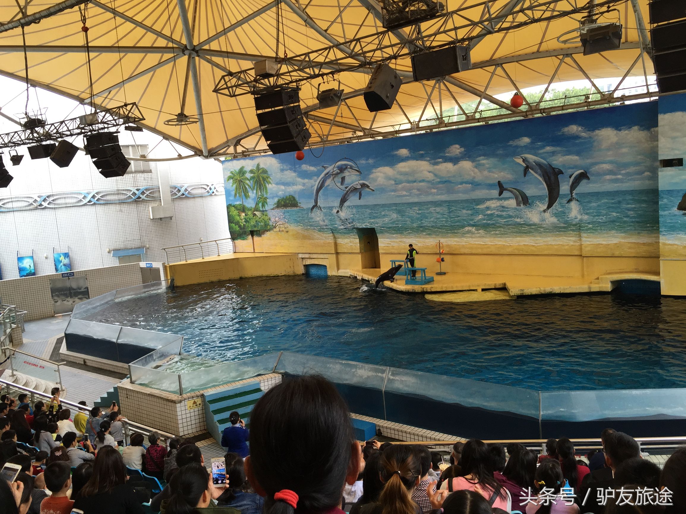 广州长隆亲子游旅行攻略,广州长隆4园2天1夜亲子游攻略