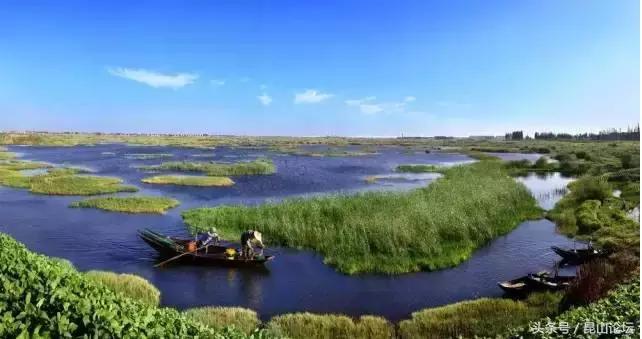 厉害了昆山陆家,厉害了江苏