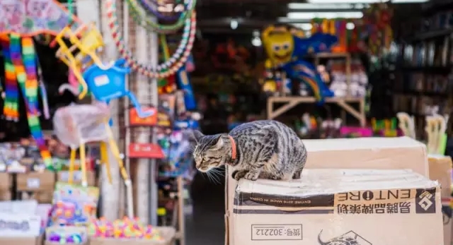 在清远人心中，它不仅仅是个市场，还满载了清远人的旧时光