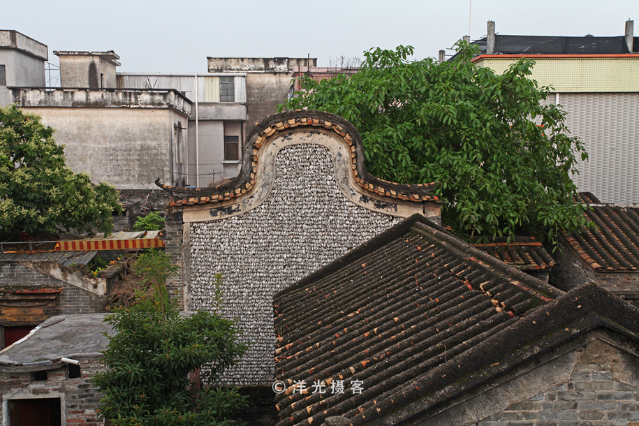 榕树不容人容人不榕树是什么意思,为什么有榕树不容人的说法