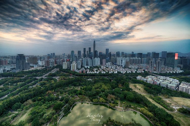 爬楼梯日记200字,爬楼梯日记一年级