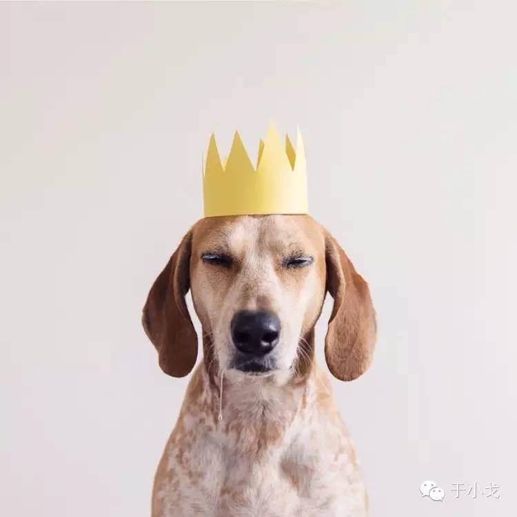 过年什么礼物给父母,过年啥礼物上档次