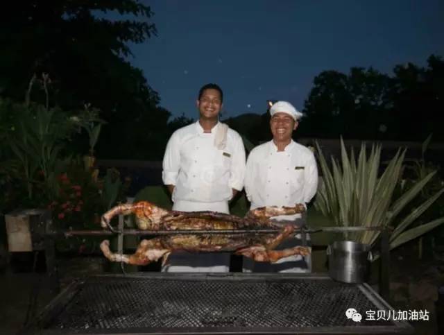 塞舌尔游记,塞舌尔埃及