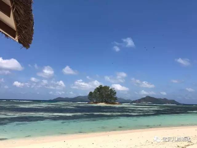 塞舌尔游记,塞舌尔埃及