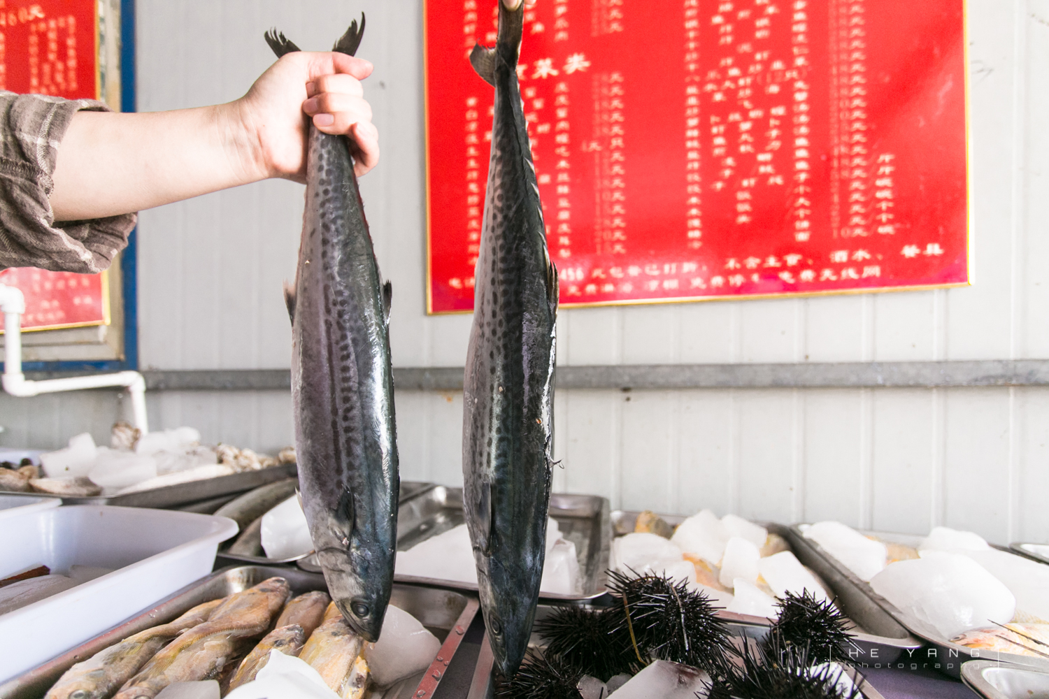 美丽的海滨城市营口鲅鱼圈,营口市鲅鱼圈十年变化