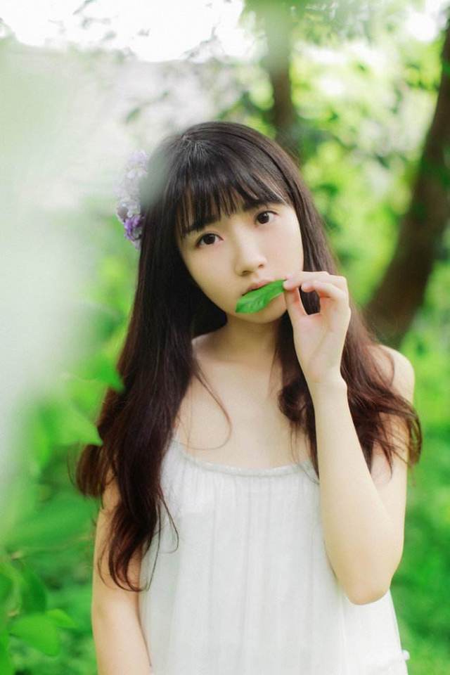 面相命运与风水讲座,风水猫养哪种最好