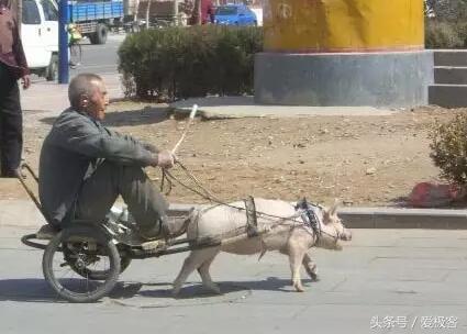 经典舒适最实用的改装,这样的改装风格你喜欢吗