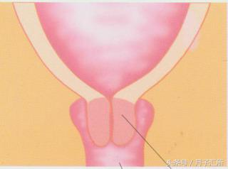 宫口开十指大概是几厘米,宫口开十指对应多少公分