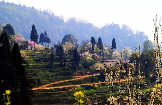 成都周边踏青二日游自驾游,春节成都看花好玩的地方推荐