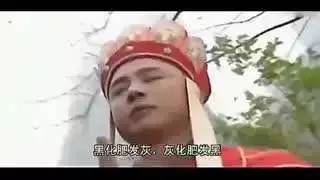 桃花岛稀有宝箱,桃花岛特色物品