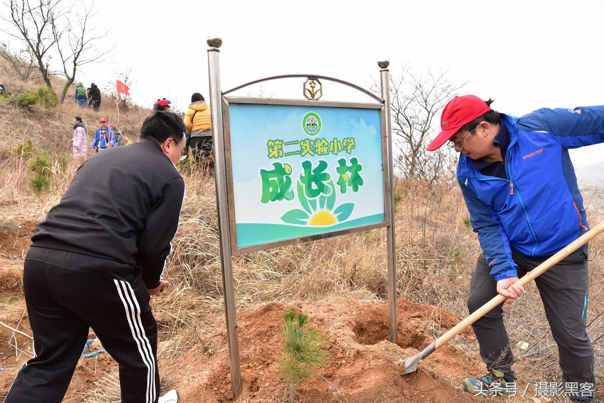 义务植树与创建森林城市,共建文明城市小学生