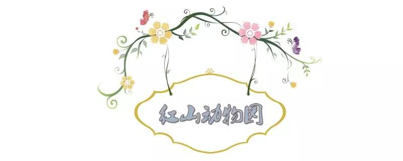 南京春天适合孩子玩的地方,南京情侣适合玩的地方旅游攻略