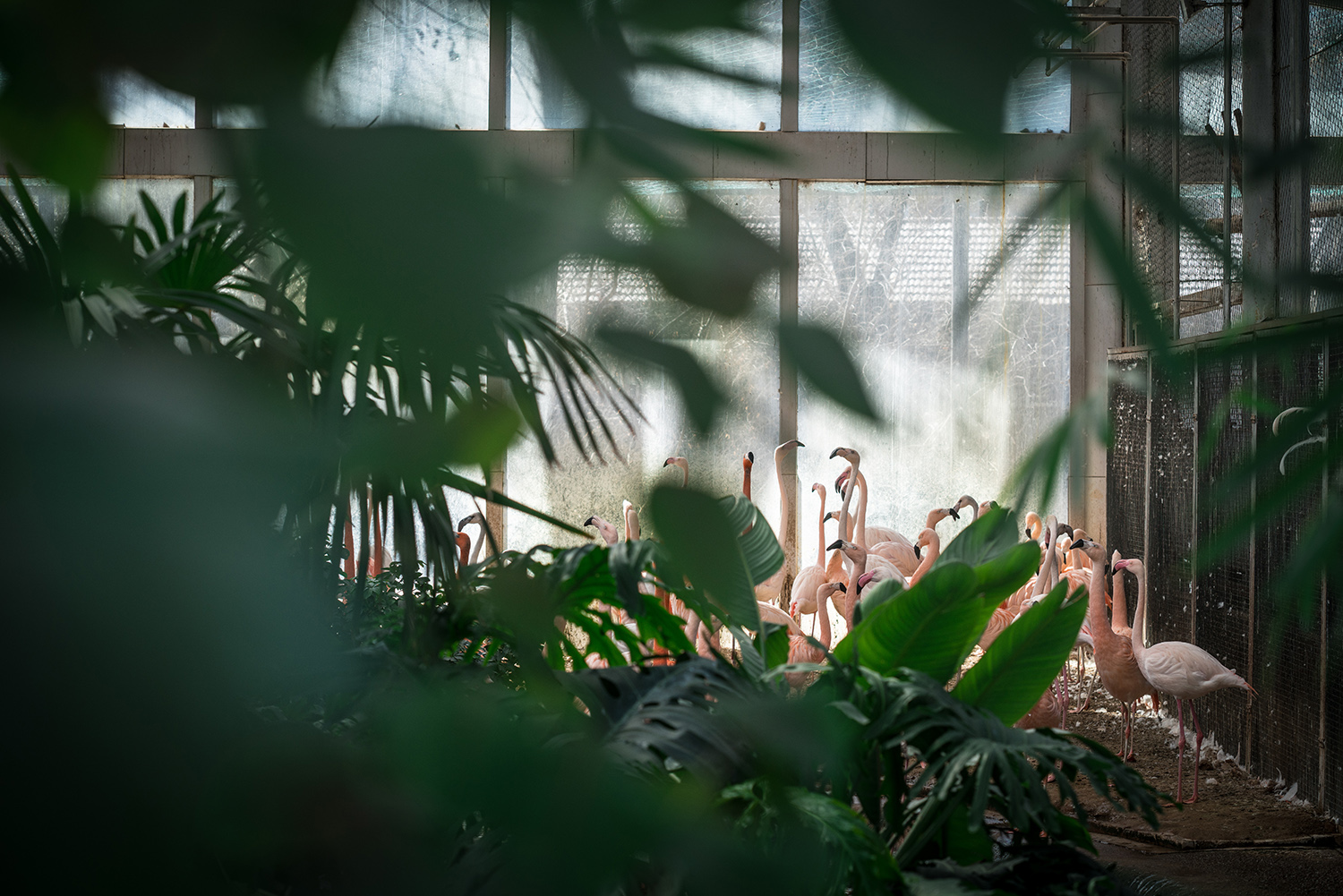 索尼fe85mmf18镜头正式开启预售,索尼fe85mmf1.8风景