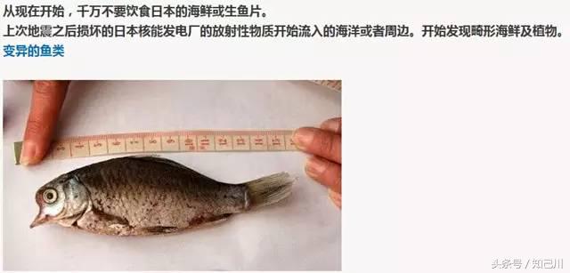 核辐射无印良品,核辐射无印良品还能买吗