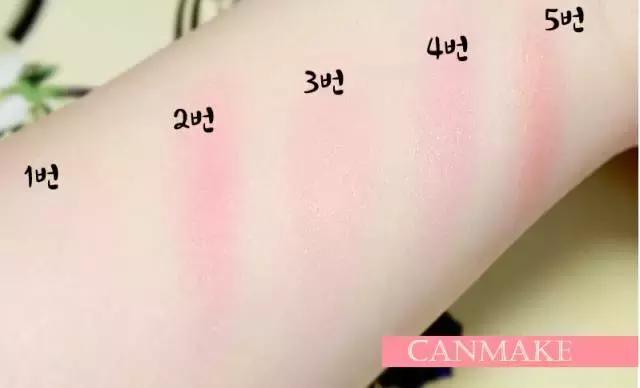 canmake推荐哪只,canmake入门选哪款