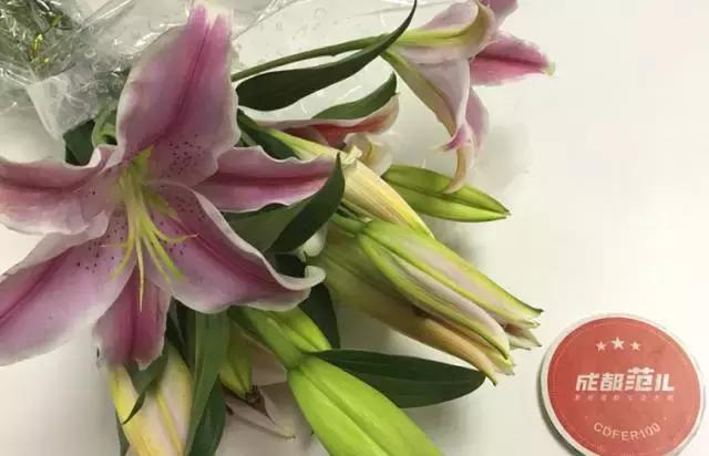 我们用1000元的教训告诉你:包月鲜花全是坑!一家都不推荐!