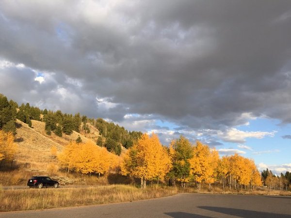 随手一拍都是美景美国大农村,英国随手一拍都是风景