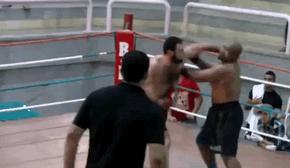 家里穷是种什么样的体验 (我们还很穷能买什么车)