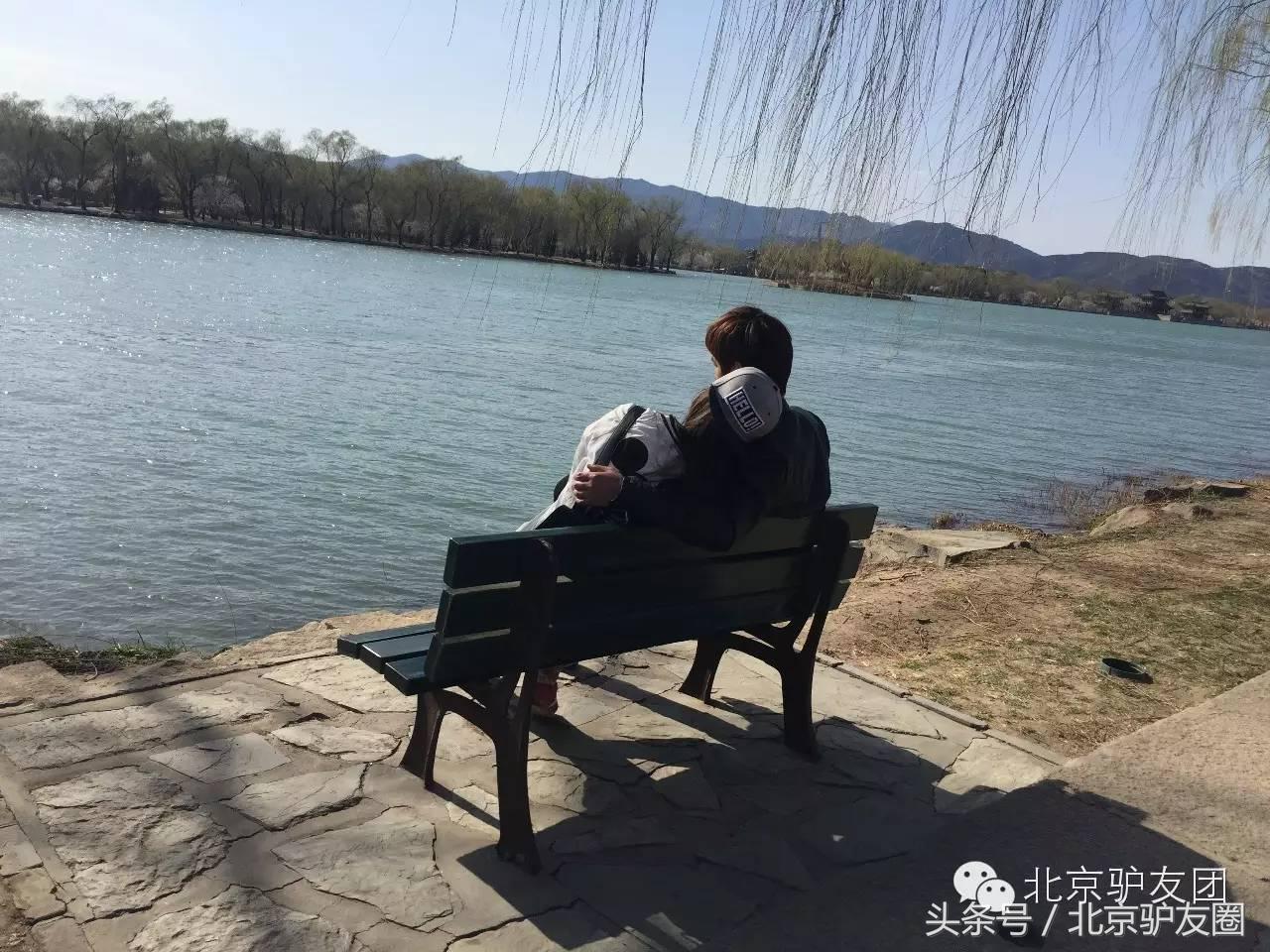 颐和园最美人间四月天,颐和园最美紫色花海