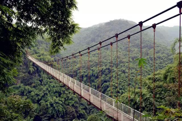 成都周边踏青二日游自驾游,春节成都看花好玩的地方推荐