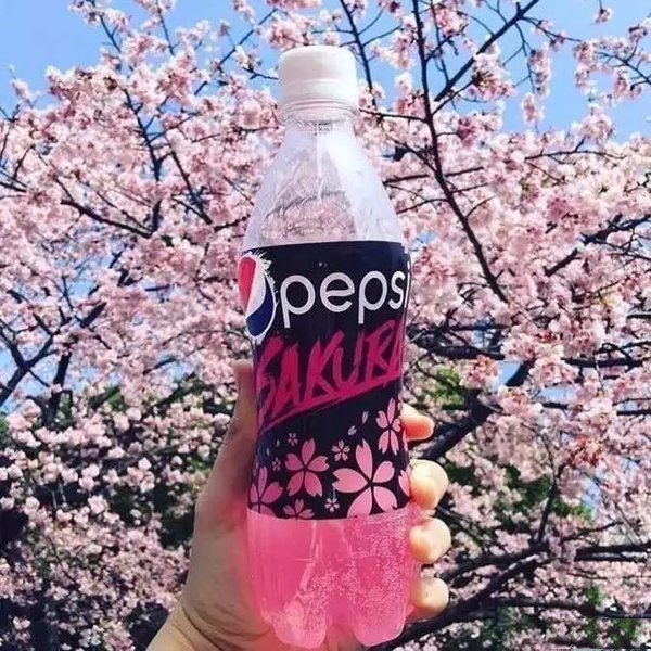 早春樱花系列 (樱花粉嫩款推荐)