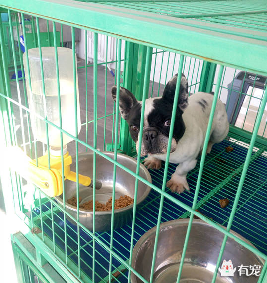 鐙楀競鎺㈣ (鎺㈣鐙楀競)