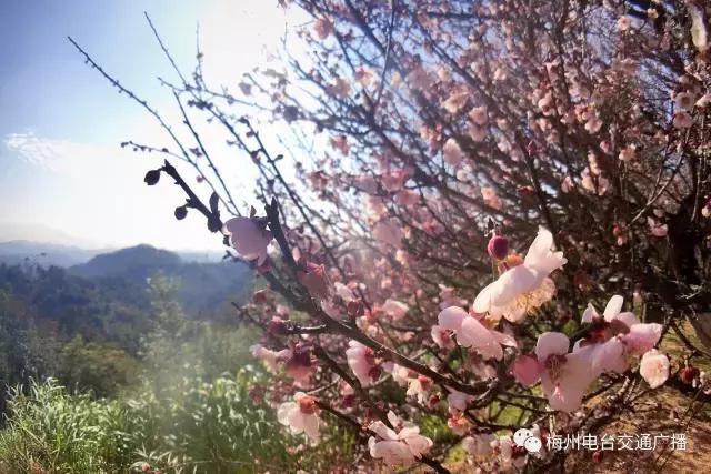 以二十四节气之名，诠释梅州之美