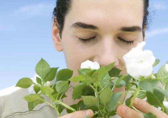 嗅觉味觉失灵挂号挂什么科,哪个医院看嗅觉失灵最好