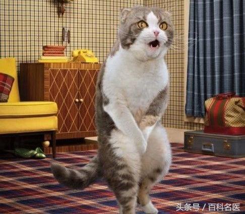 有没有阳痿都得看看，这个事也许就在不远的明天！