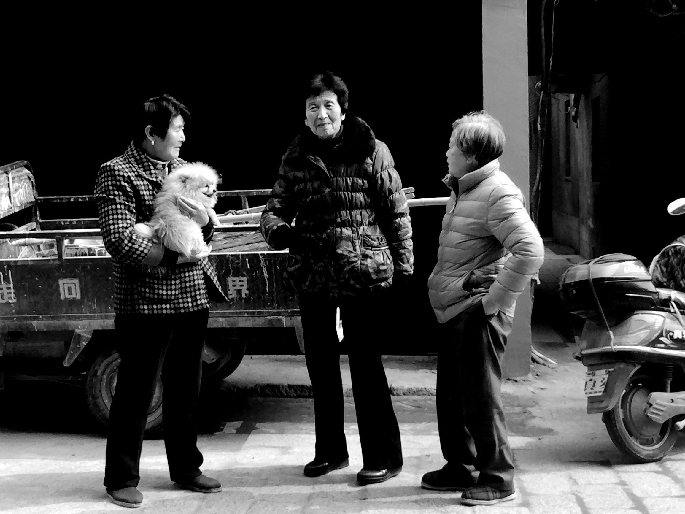 沙溪镇历史,太仓沙溪古镇有多少年历史