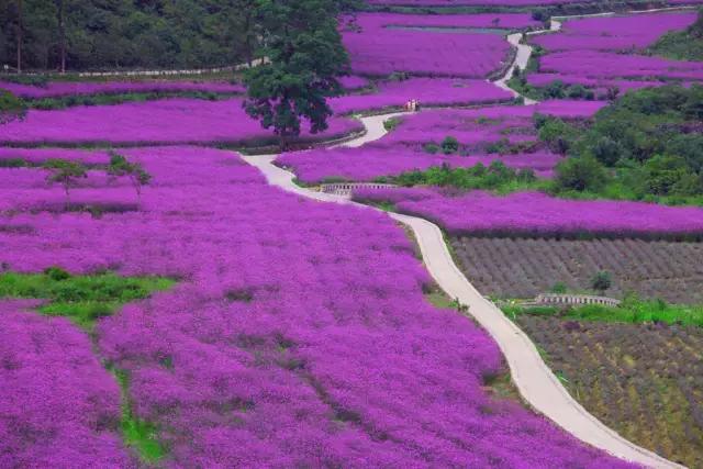 贵州最美“旅拍”地，堪比三亚和丽江！