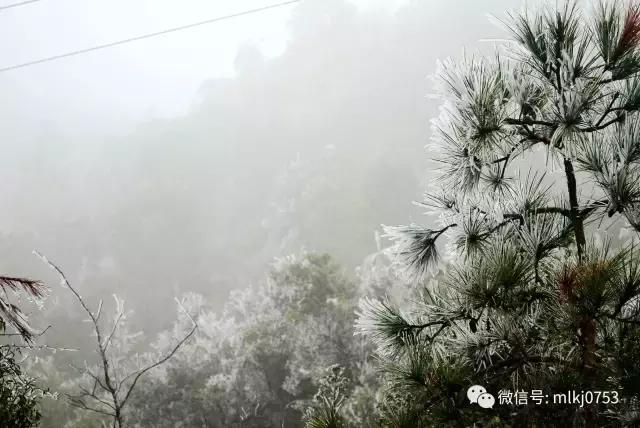 以二十四节气之名，诠释梅州之美