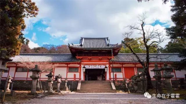拉面 · 自动贩售机 · 雪｜云之彼岸的日本欢脱之旅