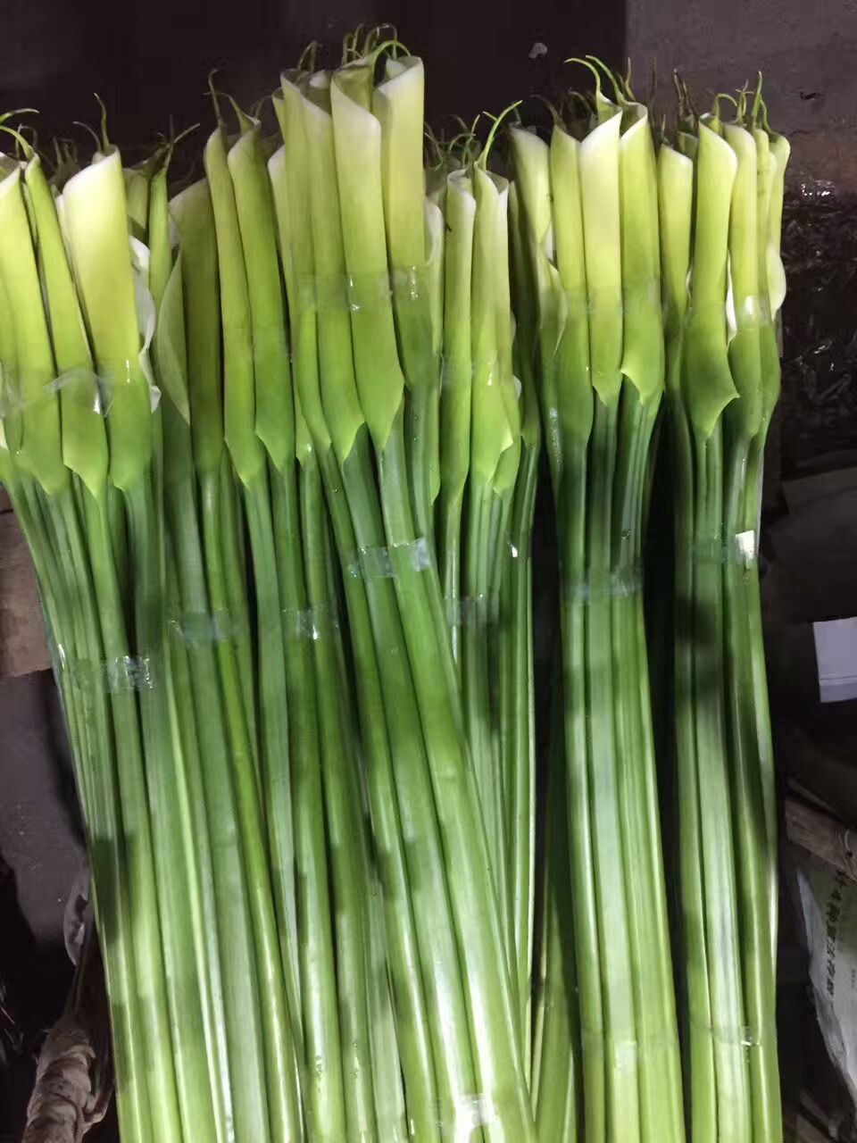 看了这些图，下次去花店你就能把花店里的花花草草叫出名字来了！