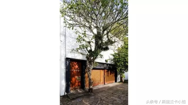 富二代、终身未婚、同性恋……这位混血锡兰人是“斯里兰卡之光”